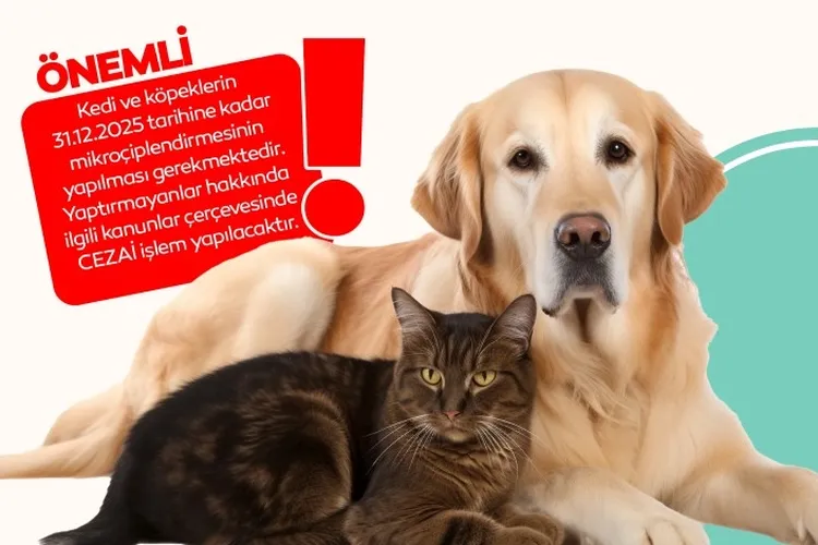 Bursa İnegöl’de evde kedi-köpek besleyenlere mikroçip uyarısı